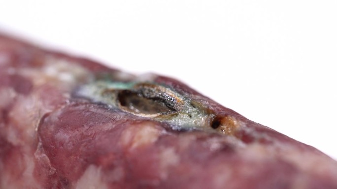 【镜头合集】微距解剖香肠肉质腊肠熏肉