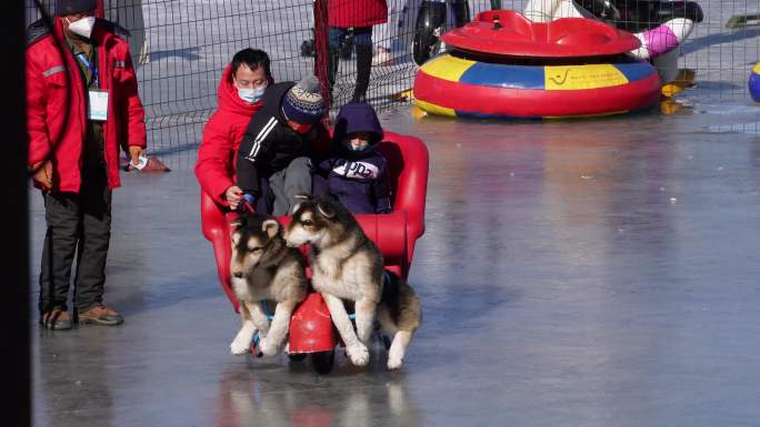 【镜头合集】冰雪嘉年华冰车学车紫竹院