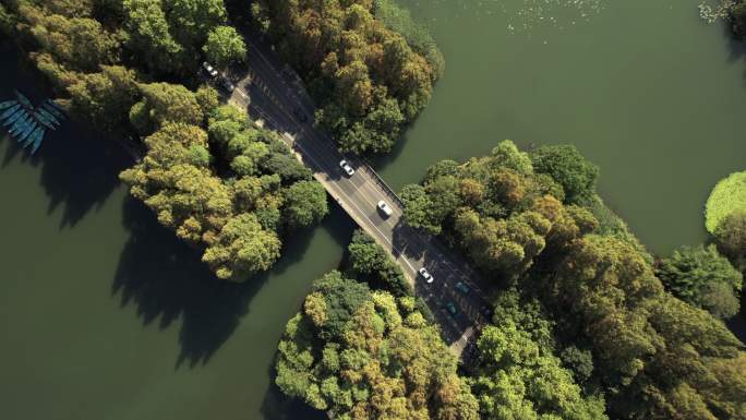 穿过湖泊和树木区域的道路鸟瞰图