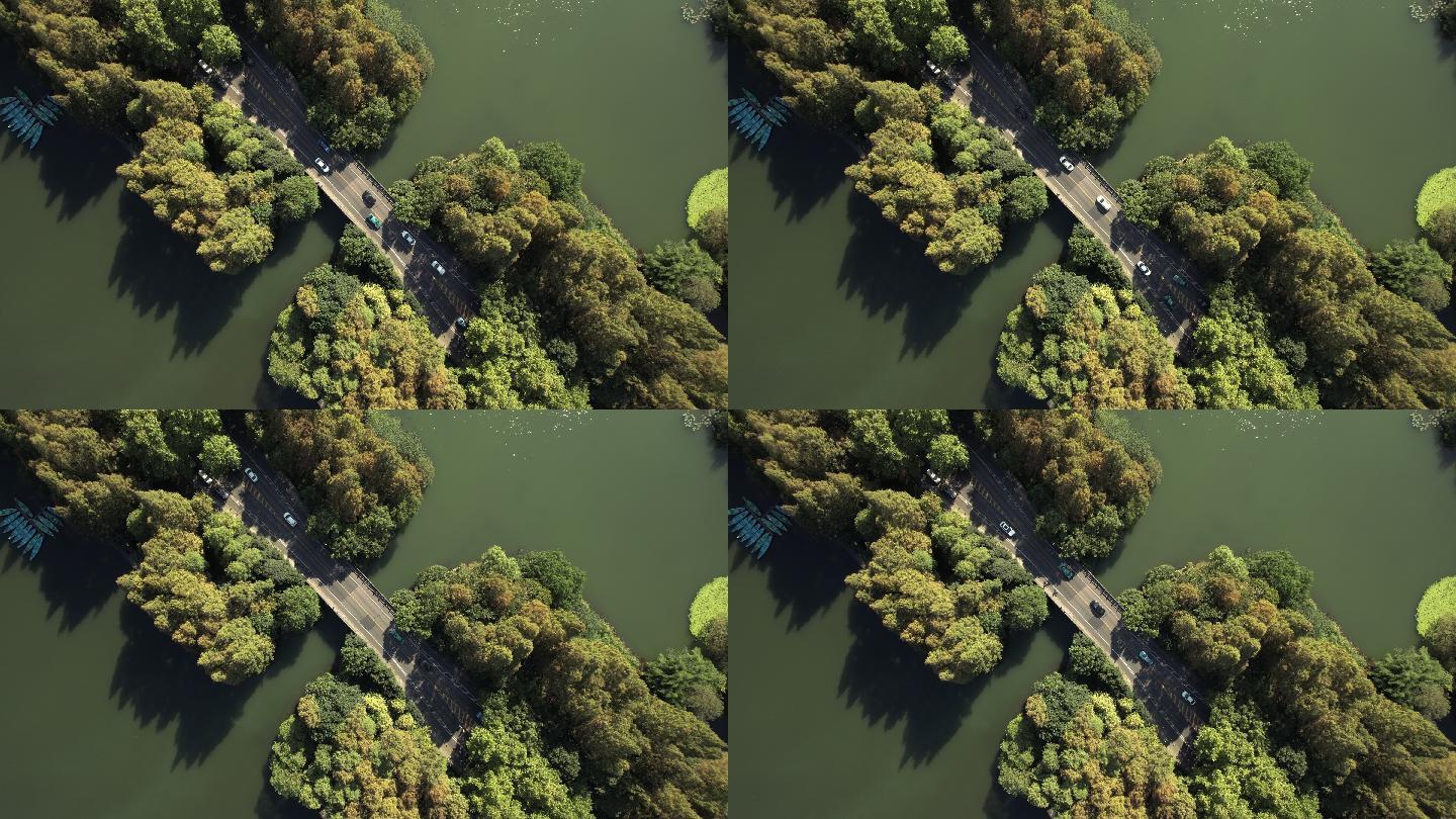 穿过湖泊和树木区域的道路鸟瞰图