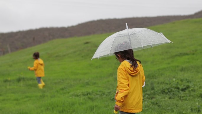 春天散步下着小雨打着伞草坡上寻找