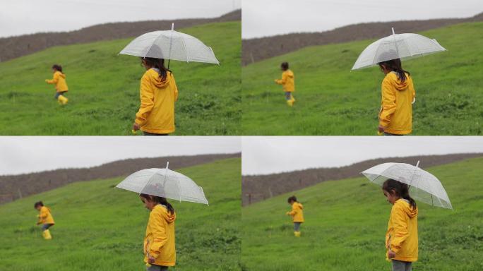 春天散步下着小雨打着伞草坡上寻找