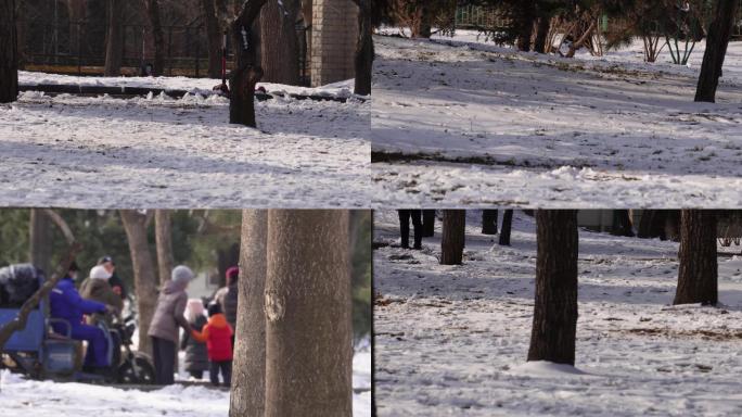 【镜头合集】冬季下雪树林孩子打雪仗玩雪