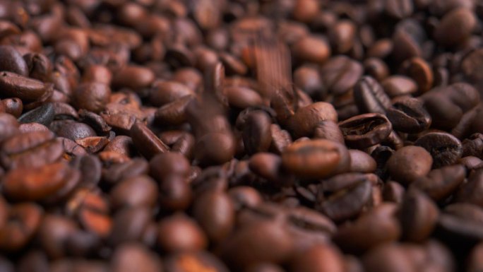 烤阿拉比卡咖啡豆研磨咖啡生产挑选