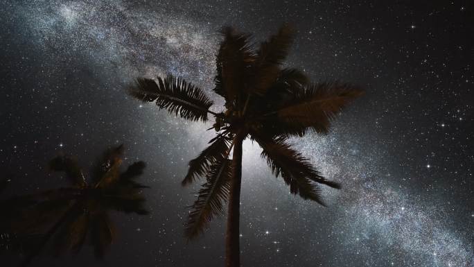 月光穿过棕榈叶。黑暗天空中的星系