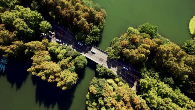 通过湖泊和树木区域的道路T/L鸟瞰图