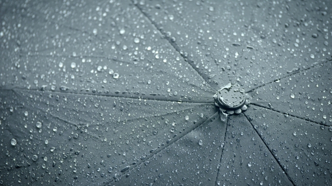 4k雨后的植物雨滴空镜头