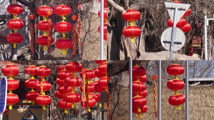 【镜头合集】春节民族园挂红灯笼  (2)