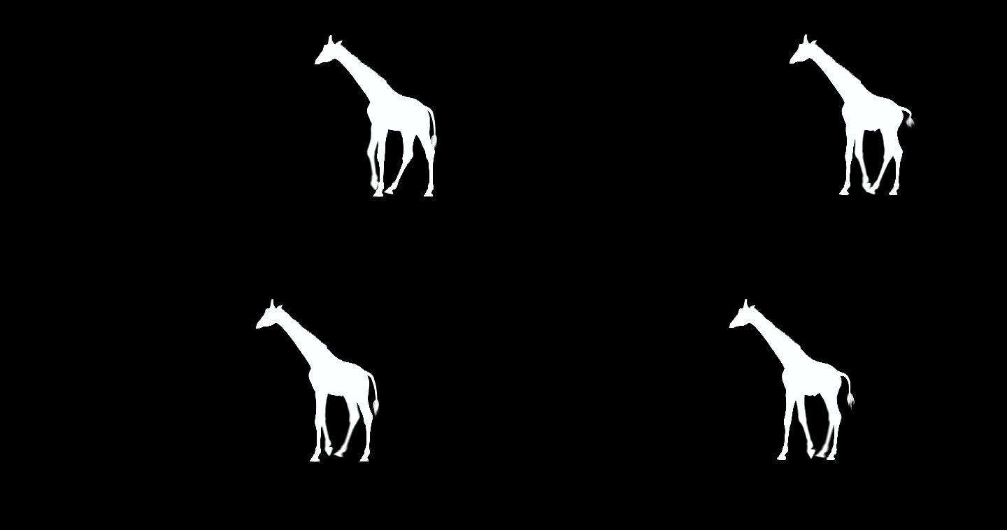 一只黑白3D长颈鹿在绿色屏幕上行走。