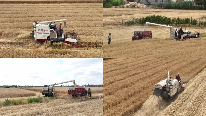 新农村收割机割麦子稻子丰收机械化生产
