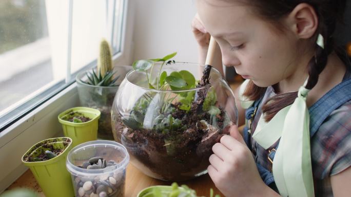 女孩在家里插秧儿童种植儿童养花儿童盆栽