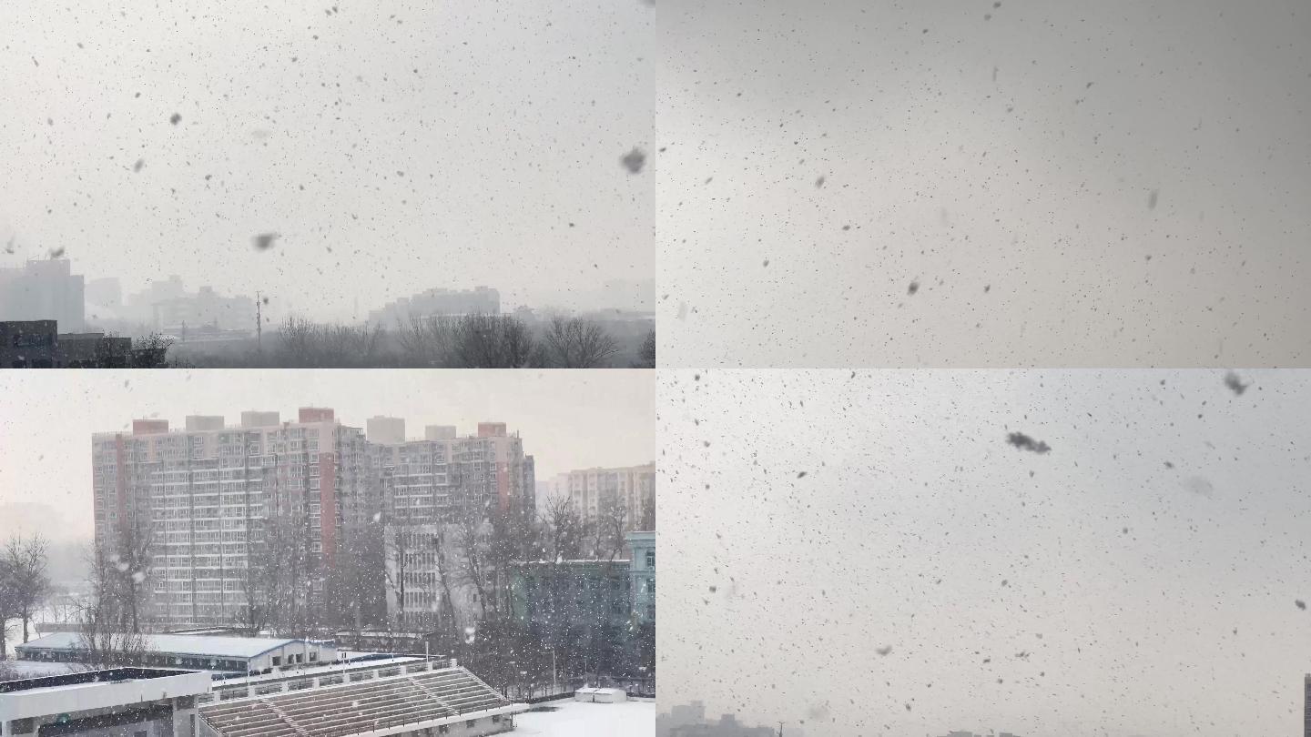 科学网—鹅毛大雪悄然而至，像是为圣诞节来临送上的礼物！！ - 张朋波的博文