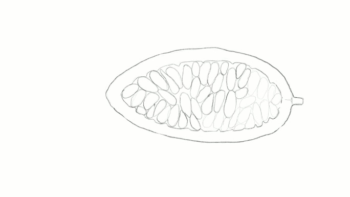 手绘香蕉西番莲视频剪辑