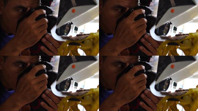 拍摄昆虫微距照片的摄影师