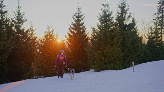 日出时，一个女人和一条狗在斜坡上的雪中涉水而过