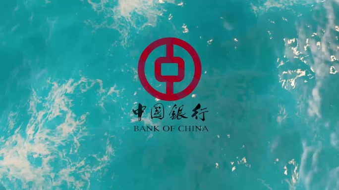 大海logo  企业 海浪片头（无插件）