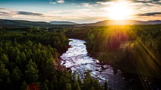 瑞典-斯堪的纳维亚地区河流和北方森林的空中景观