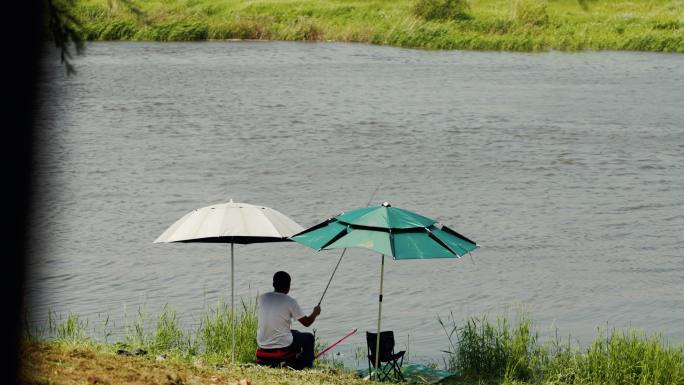 沈阳蒲河夏季青草河流钓鱼人背影