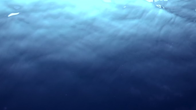 有机水下背景-深蓝色