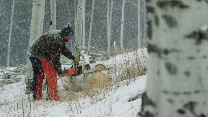 一张30多岁的白人男子的广角照片，他留着胡子，在森林里的一个雪天，用电锯锯锯着一根白杨木