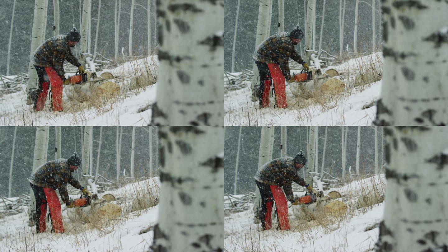一张30多岁的白人男子的广角照片，他留着胡子，在森林里的一个雪天，用电锯锯锯着一根白杨木