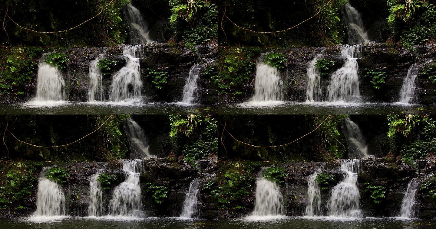 埃拉巴纳瀑布-澳大利亚拉明顿国家公园雨林瀑布的4K镜头