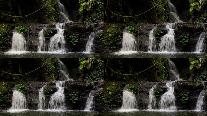 埃拉巴纳瀑布-澳大利亚拉明顿国家公园雨林瀑布的4K镜头