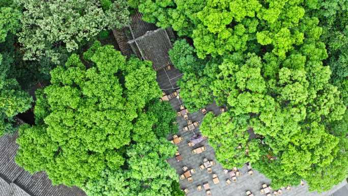 成都铁像寺水街茶馆素材