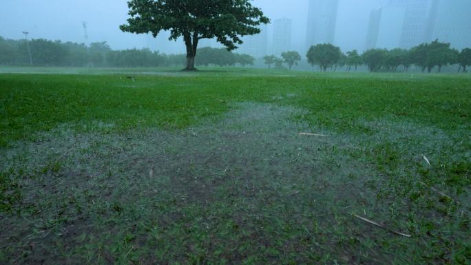 公园雨景-慢镜头