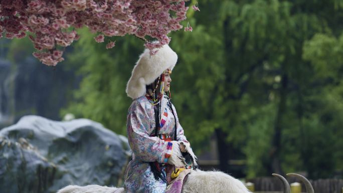 骑在牦牛背上的藏族女孩