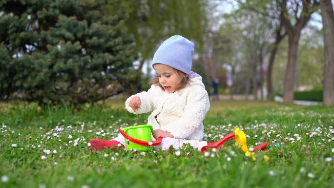 顽皮的蹒跚学步的小女孩在享受阳光明媚的春天，一边采摘雏菊花，把它放进塑料桶里