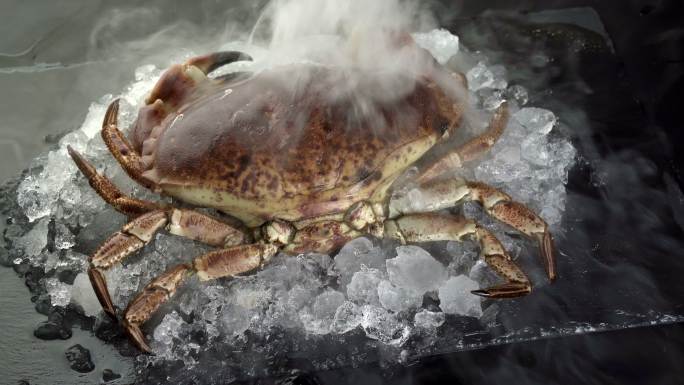4K超高清：在黑色盘子上的冰冻冰上拍摄生佛罗里达石蟹的特写镜头，伴随着冰冻的冰烟流。新鲜奢侈海鲜和菜
