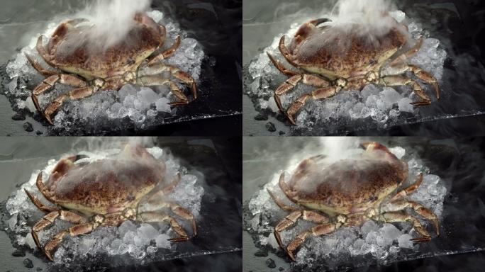 4K超高清：在黑色盘子上的冰冻冰上拍摄生佛罗里达石蟹的特写镜头，伴随着冰冻的冰烟流。新鲜奢侈海鲜和菜
