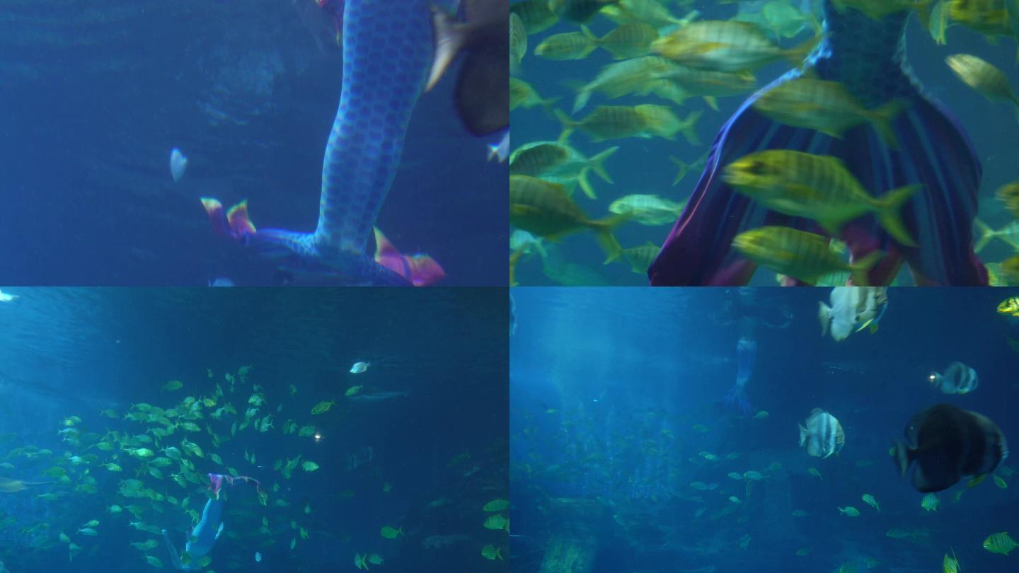 【镜头合集】潜水员水下表演美人鱼海底