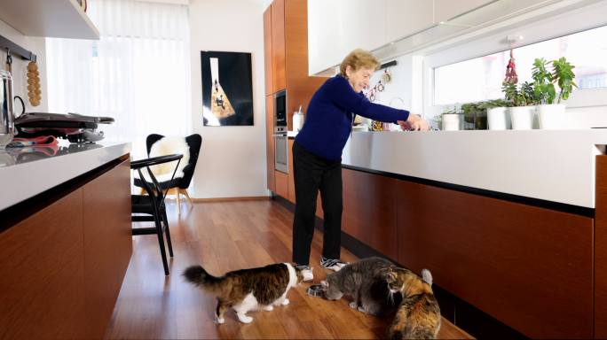 这位老妇人正在家里喂猫，喂湿猫粮