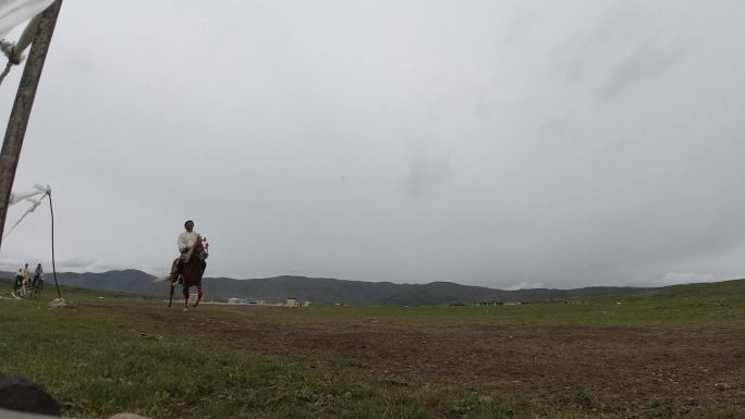 赛马 赛事 骏马比赛 草原 西藏羌塘