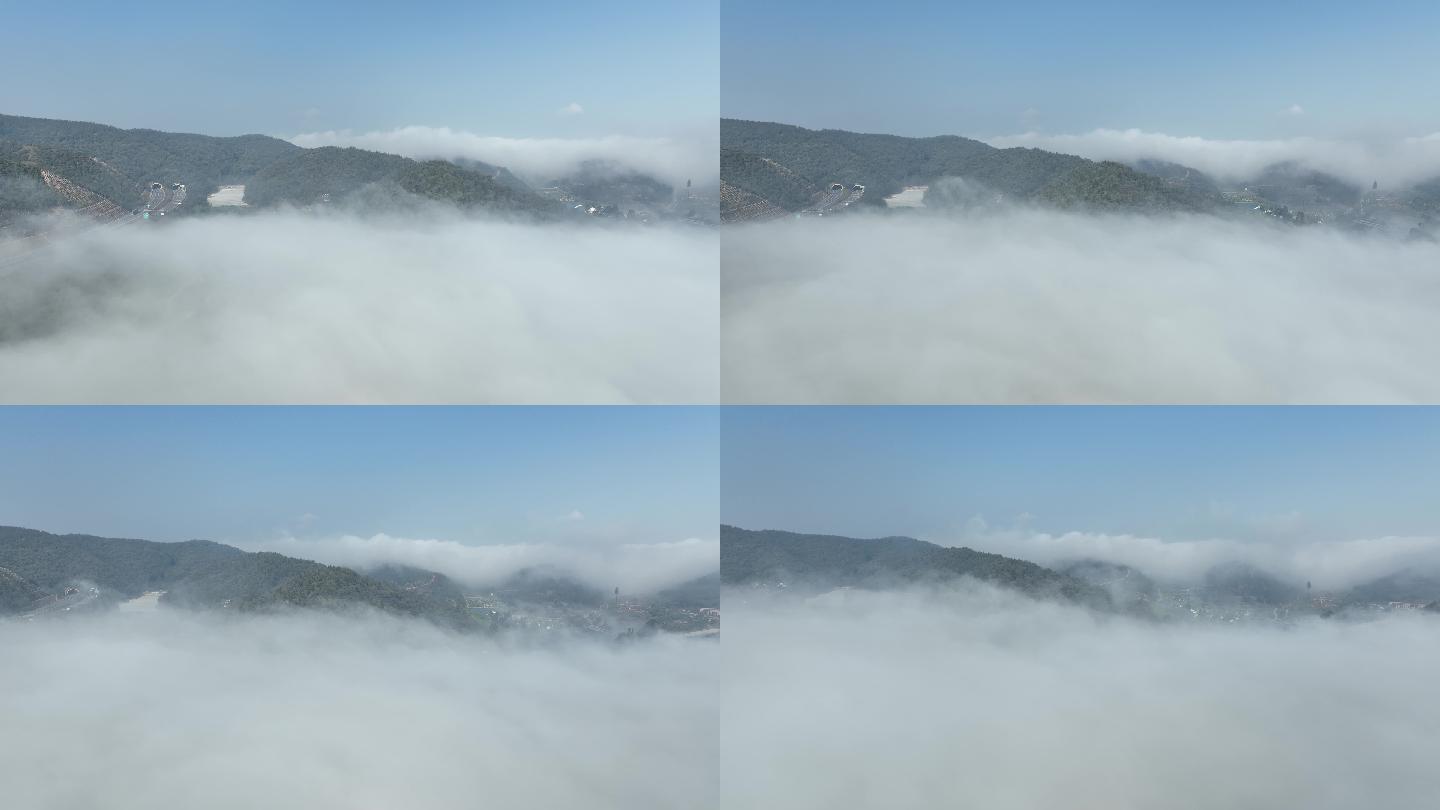雾