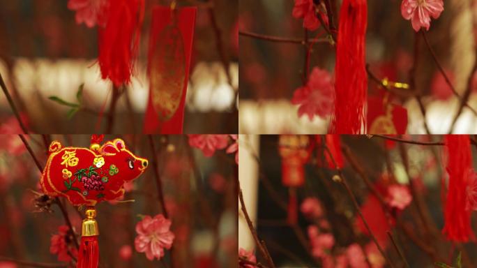 春节概念片节日喜庆红色节日