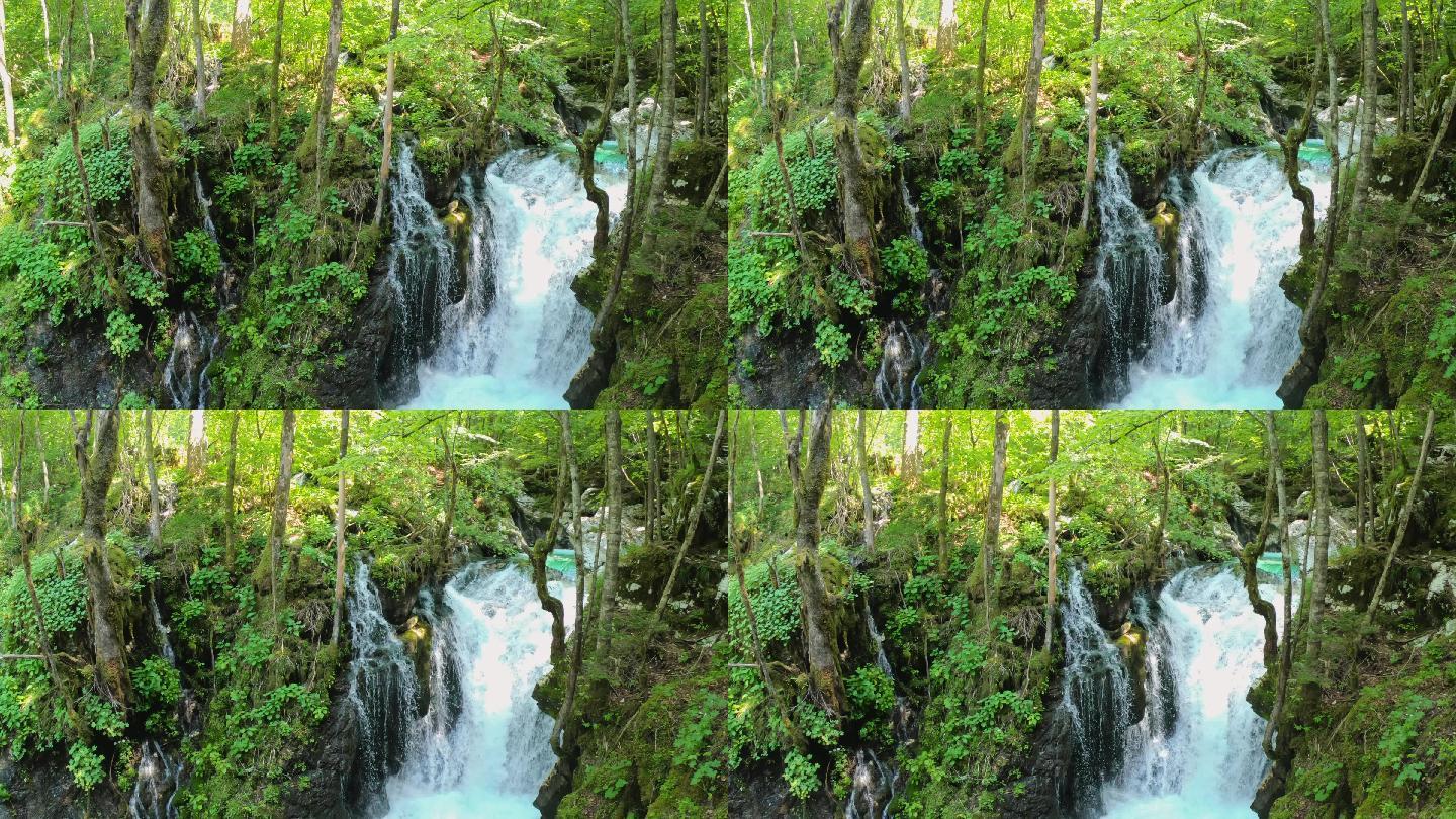隐藏宝石-瀑布山洪雨林