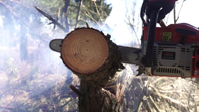 伐木工人锯子