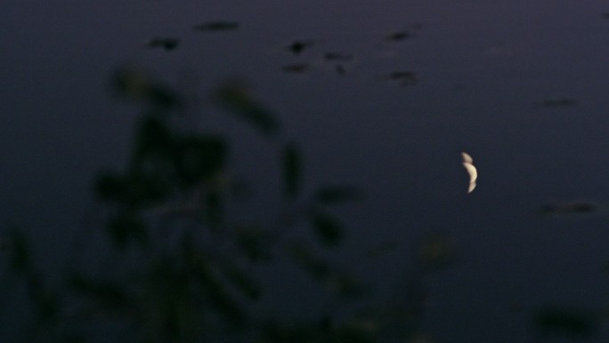 月牙映湖面一弯月亮水中倒影水面月影