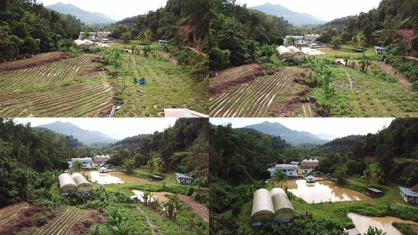 马来西亚热带气候下有机蔬菜农场正上方的无人机视图