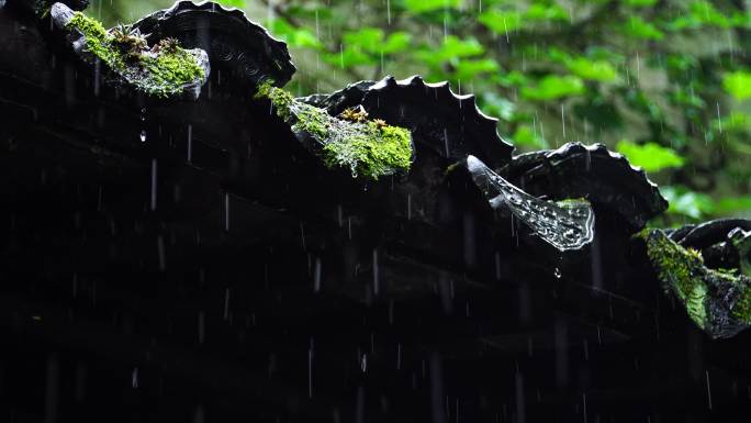 雨中的瓦当