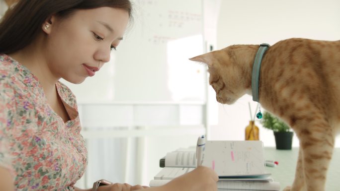 一名亚洲妇女在家里办公，桌上放着一只小猫。