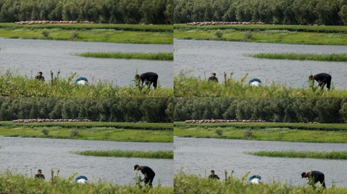 沈阳蒲河夏季青草河流钓鱼人背影