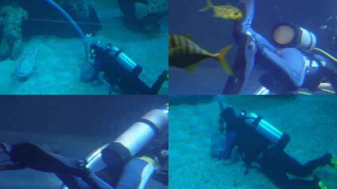 【镜头合集】潜水员氧气瓶氧气管海洋