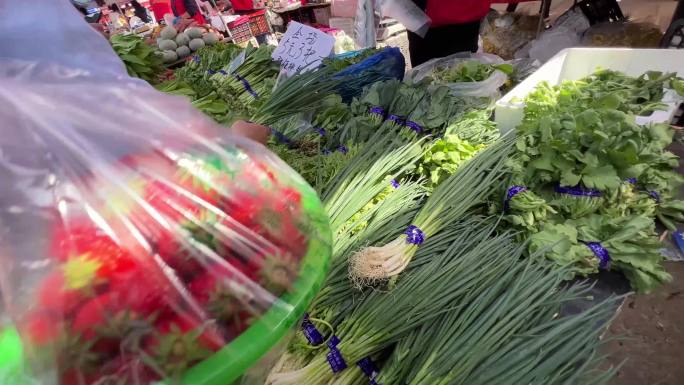 【镜头合集】市场超市韭菜小葱绿叶菜