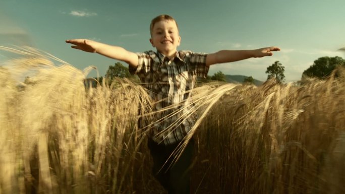 高清慢镜头：男孩在小麦中奔跑