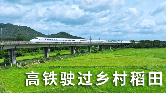 高铁动车行驶过穿越绿色的稻田航拍中国