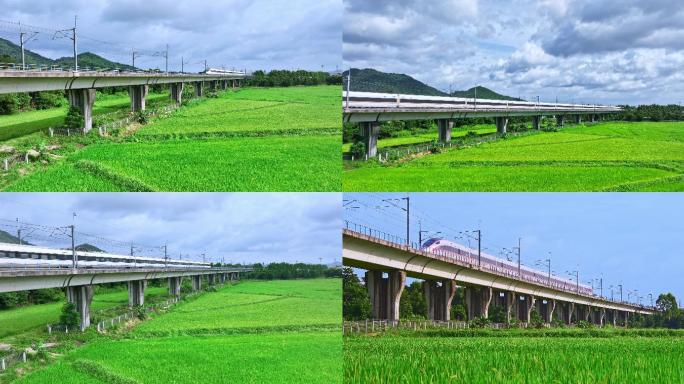 高铁动车行驶过穿越绿色的稻田航拍中国